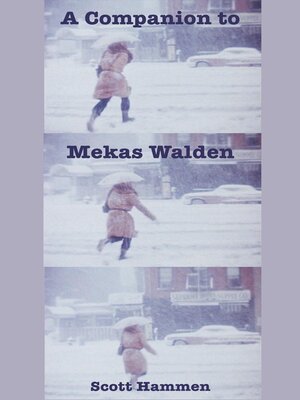 cover image of A COMPANION TO MEKAS WALDEN